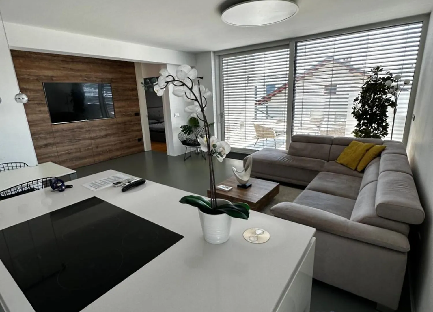 Apartments Villa Popp Lubiana 0*,