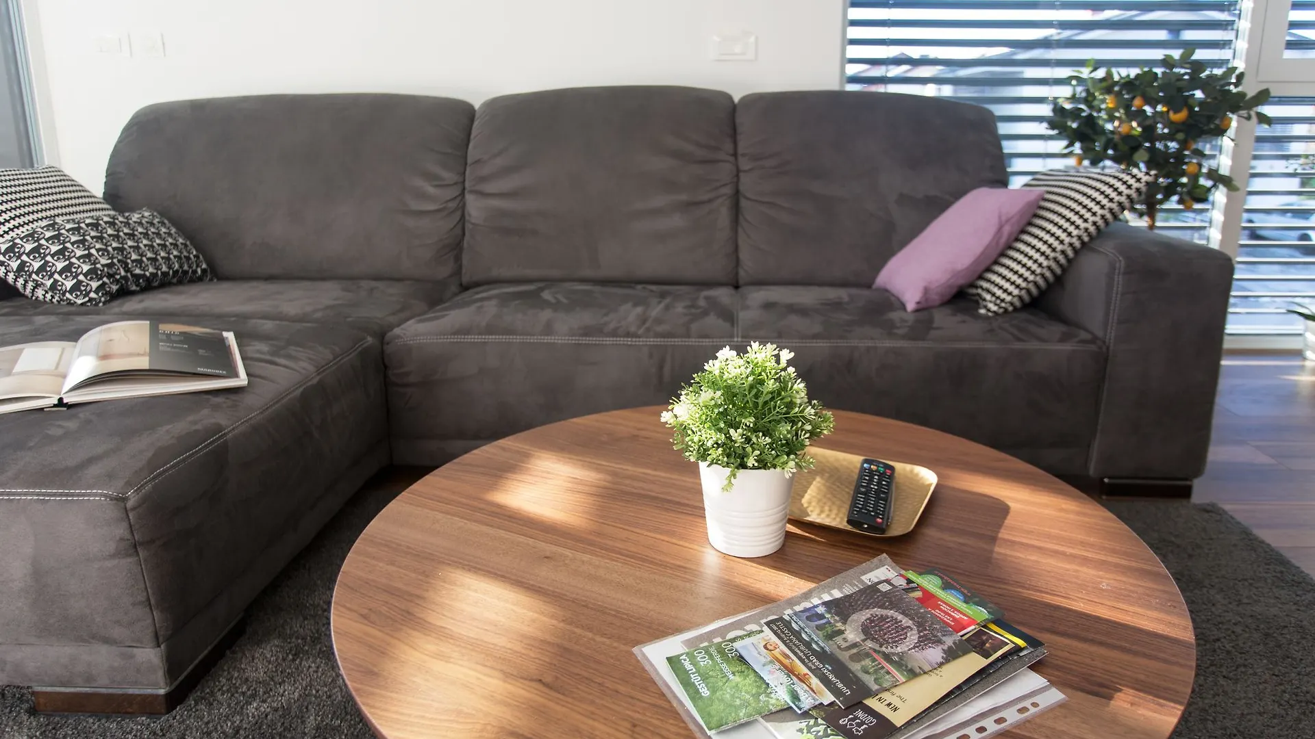 Apartments Villa Popp Ljubljana